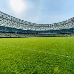 Sports field with rpr grass.