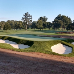 Golf course with sand bunkers and trees in the background at sunset